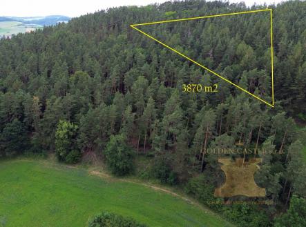 Prodej - pozemek, les, 3 870 m²