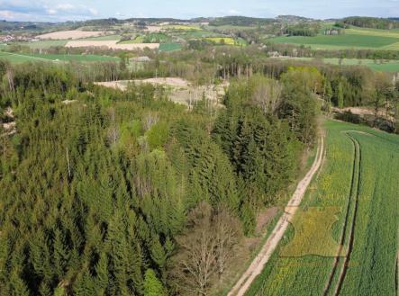 foto: 2 | Prodej - pozemek, les, 5 521 m²
