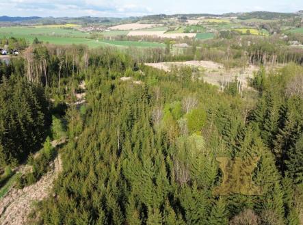 foto: 3 | Prodej - pozemek, les, 5 521 m²