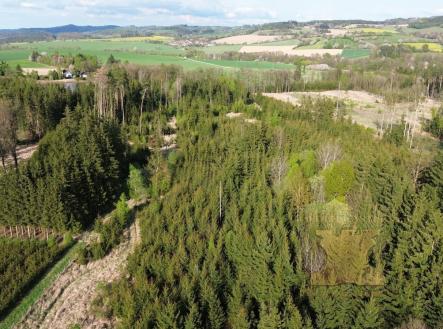 foto: 4 | Prodej - pozemek, les, 5 521 m²