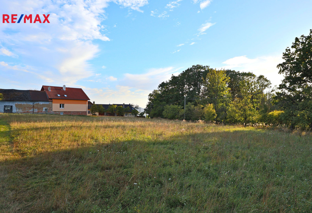 pp3-1.jpg