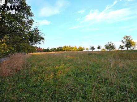 pp5-1.jpg | Prodej - pozemek, zemědělská půda, 4 674 m²