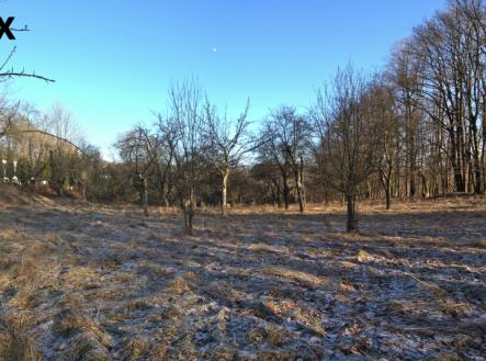 img-1784-stitch-1.jpg | Prodej - pozemek pro bydlení, 2 661 m²