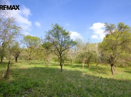 img-2025.jpg | Prodej - pozemek pro bydlení, 2 661 m²