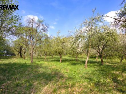 img-2028-2.jpg | Prodej - pozemek pro bydlení, 2 661 m²