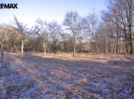 img-1782.jpg | Prodej - pozemek pro bydlení, 1 860 m²