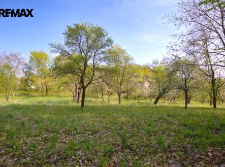 img-2019.jpg | Prodej - pozemek pro bydlení, 1 697 m²