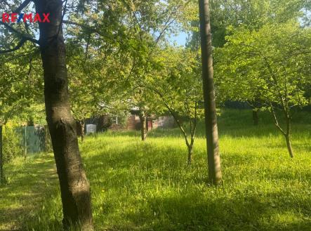 foto-predmosti-1.jpg | Prodej - pozemek, zahrada, 767 m²