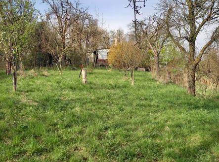 zelkov-zahrada-1.jpg | Prodej - pozemek, zahrada, 2 623 m²