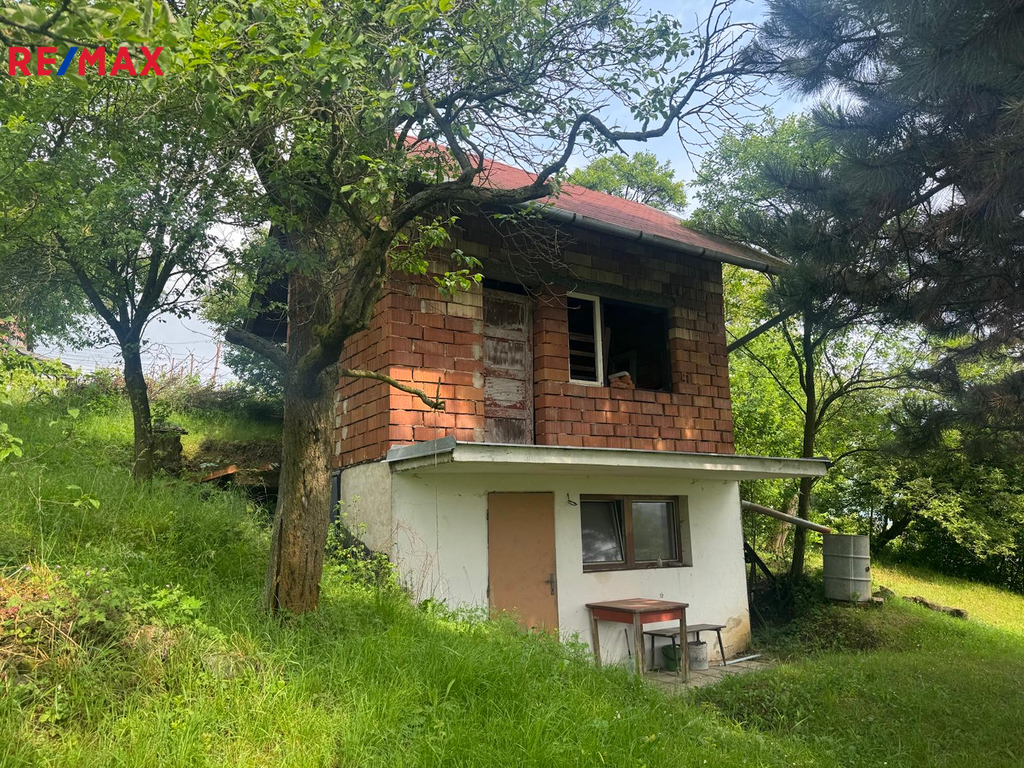 beznoska-8.jpg