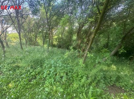 zelinkova-foto-1.jpg | Prodej - pozemek, zahrada, 888 m²