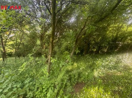 zelinkova-foto-2.jpg | Prodej - pozemek, zahrada, 888 m²