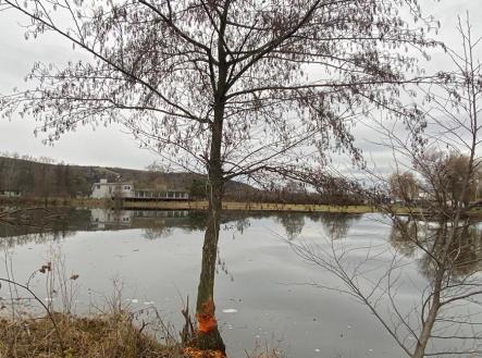 pahrbek-2.jpg | Prodej - pozemek pro komerční výstavbu, 8 000 m²