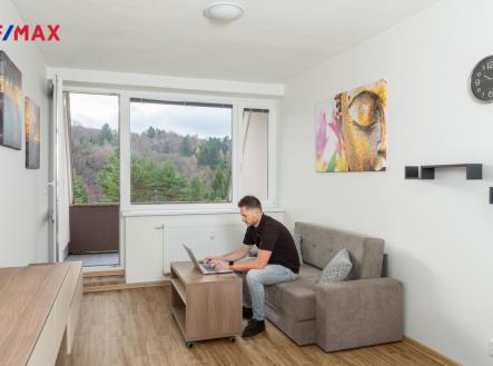 d1003704-edit.jpg | Prodej bytu, 2+kk, 45 m²