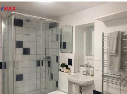frimlova-koupoelna.jpeg | Pronájem bytu, 2+1, 55 m²