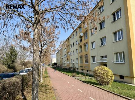 img-2237.jpeg | Pronájem bytu, 3+kk, 72 m²