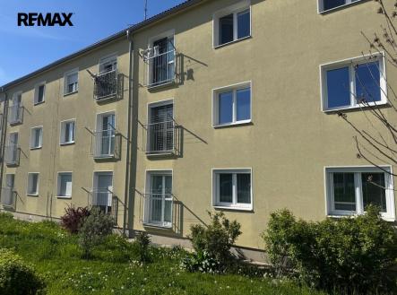 bambuchovi-byt-2.jpeg | Pronájem bytu, 2+1, 54 m²