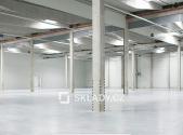 Pronájem - komerční objekt, sklad, 30 000 m²