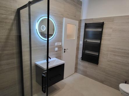 Pronájem bytu, 1+1, 50 m²