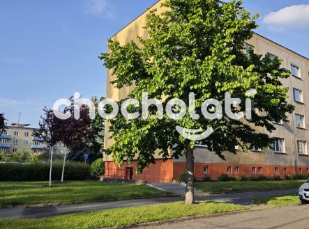 Prodej bytu, 3+1, 64 m² obrázek