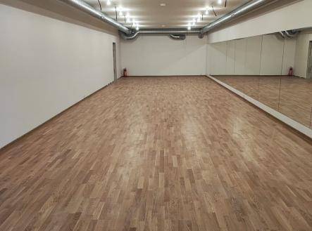 b9ecc736-affc-40ee-bdc1-362badb95193 | Pronájem - obchodní prostor, 540 m²