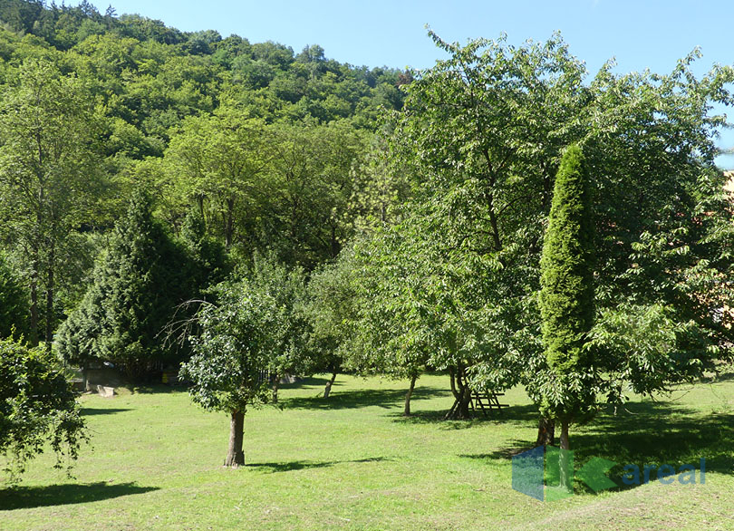 kp1230779.jpg