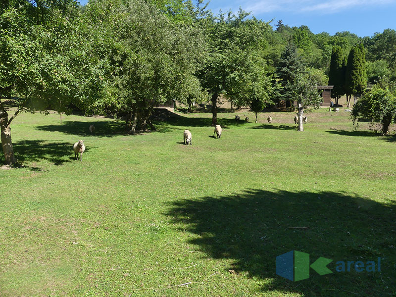 kp1230752.jpg