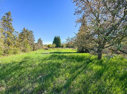 Prodej - pozemek pro bydlení, 743 m²