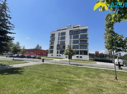 Pronájem bytu, 1+kk, 53 m²