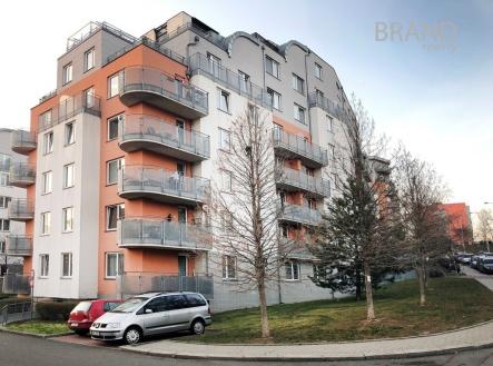 Pronájem bytu, 1+1, 49 m²