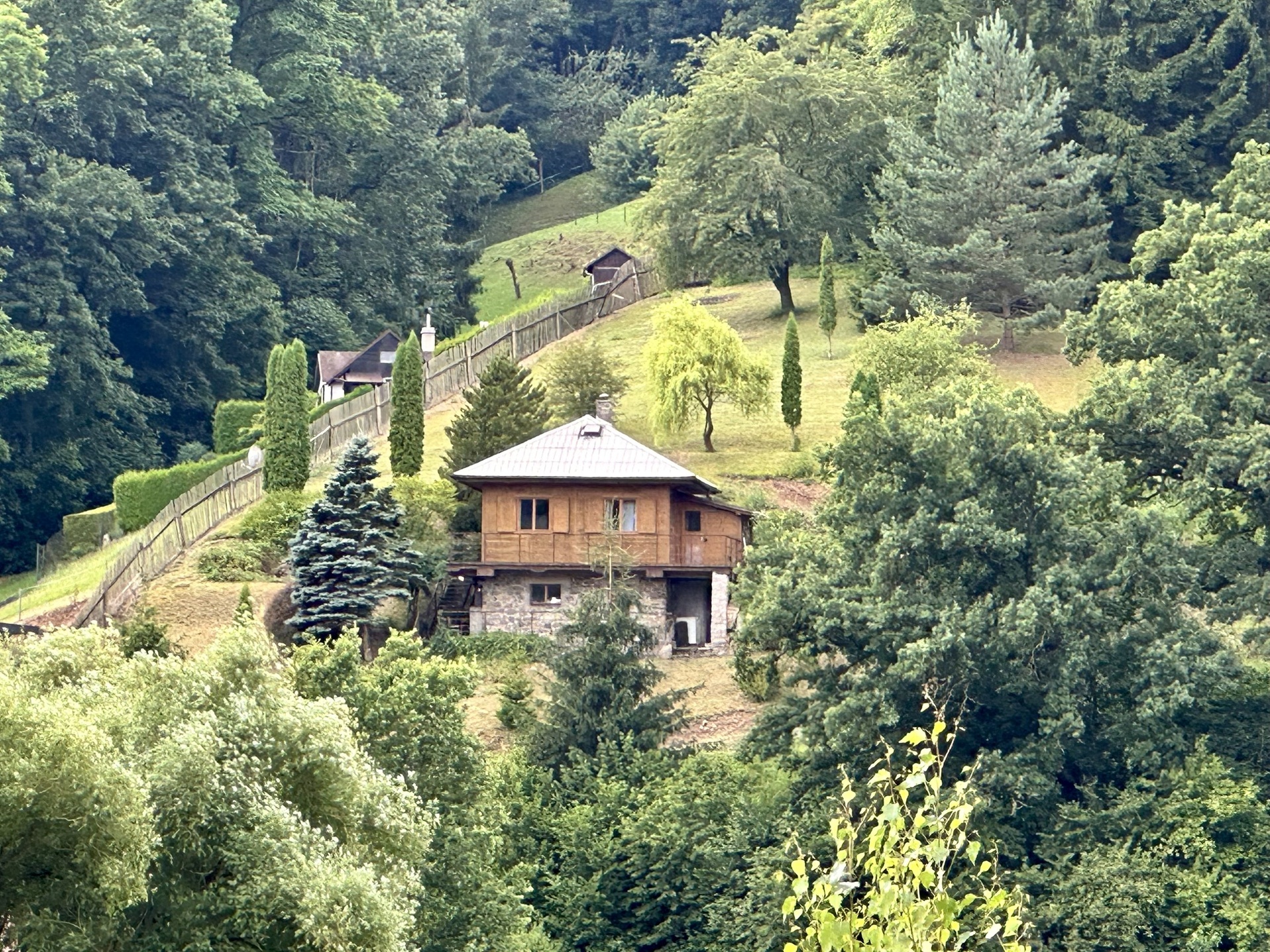 IMG_6768