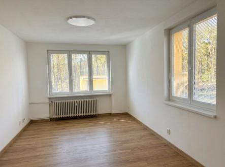 0003 | Pronájem bytu, 2+1, 55 m²