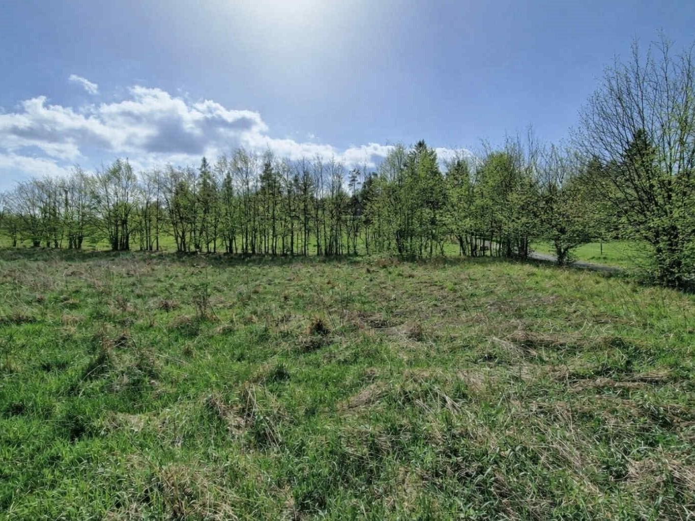 9fdb4c84-90d5-4d9f-be2a-7e711e1f4b8d (1).jpg