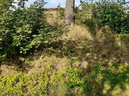 aFJDiy.jpeg | Prodej - pozemek, trvalý travní porost, 578 m²