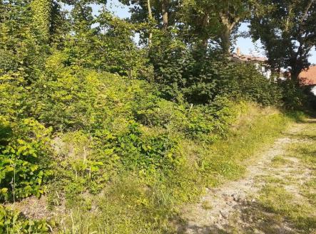 q0vDfJ.jpeg | Prodej - pozemek, trvalý travní porost, 578 m²