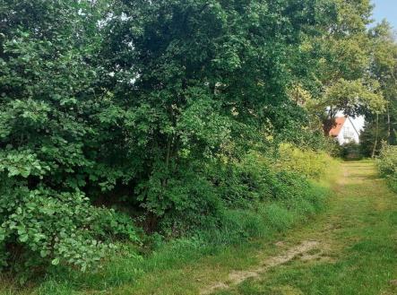 Prodej - pozemek, trvalý travní porost, 578 m² obrázek