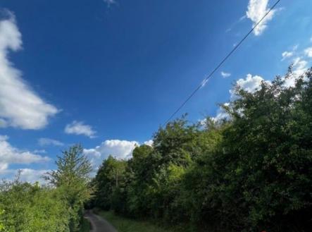 Prodej - pozemek, zemědělská půda, 4 371 m² obrázek