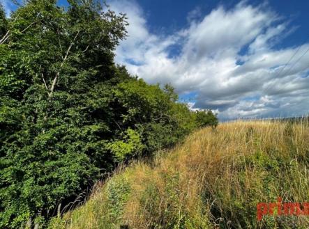 fotografie | Prodej - pozemek, zemědělská půda, 4 371 m²