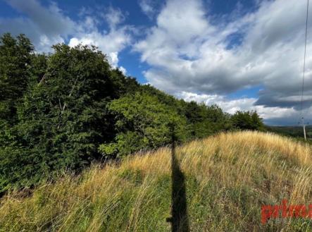 fotografie | Prodej - pozemek, zemědělská půda, 4 371 m²