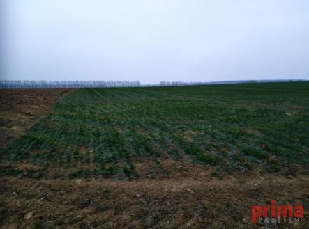 fotografie | Prodej - pozemek pro bydlení, 1 900 m²