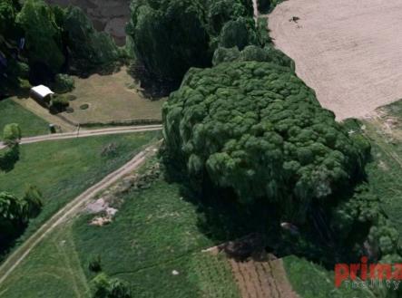 fotografie | Prodej - pozemek, trvalý travní porost, 1 863 m²