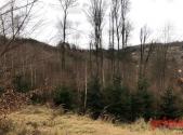 Prodej - pozemek, les, 6 037 m²