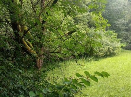 fotografie | Prodej - pozemek pro bydlení, 626 m²