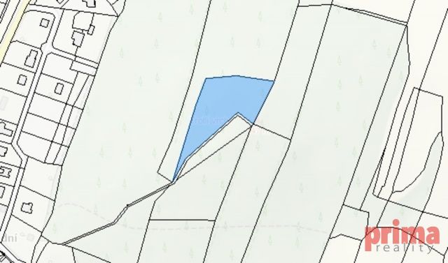 Fotka 3