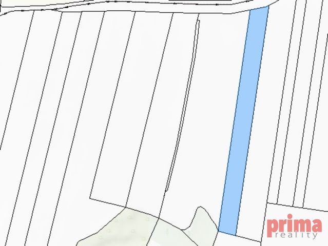 Fotka 1