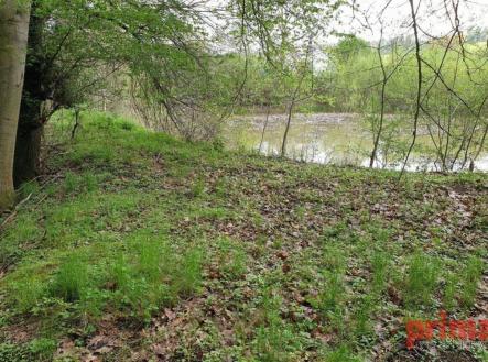 fotografie | Prodej - pozemek, ostatní, 7 028 m²