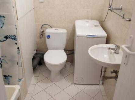 IMG_20230923_140530.jpg | Pronájem bytu, 1+kk, 20 m²