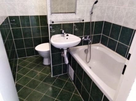 IMG_20260403_135938.jpg | Pronájem bytu, 1+kk, 21 m²