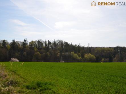 DSC_0272 | Prodej - dům/vila, 98 m²