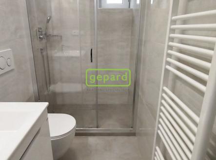 img-20240903-142513.jpg | Pronájem bytu, 2+kk, 36 m²